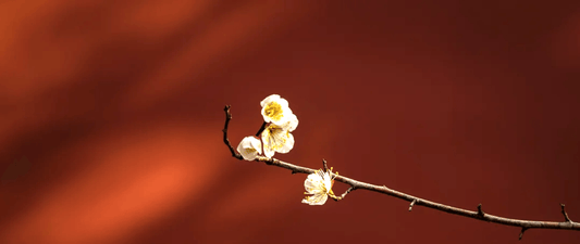 Nature-inspired Chinese jewelry, featuring heritage craftsmanship and traditional motifs