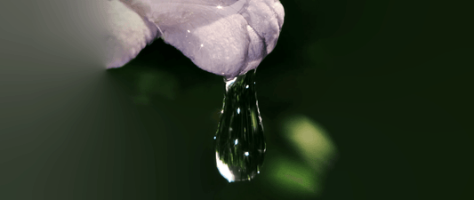 The supreme virtue flows like water’ – Chinese cultural inspiration for heritage-inspired jewelry